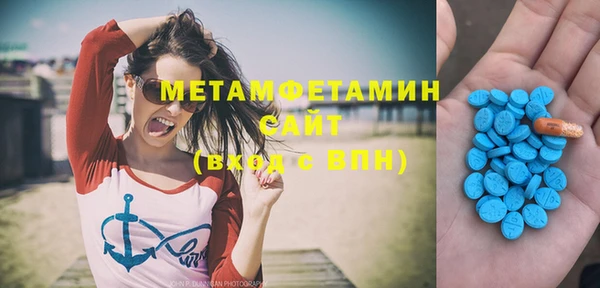 индика Бородино