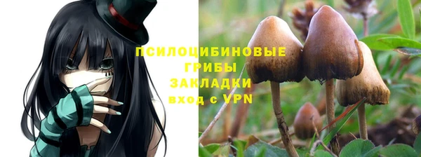 spice Богородицк