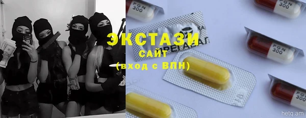 индика Бородино