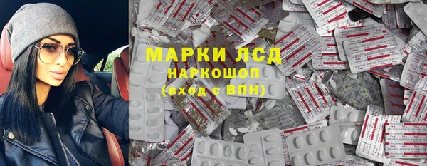 spice Богородицк
