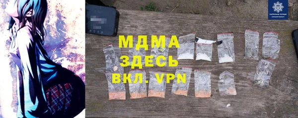 spice Богородицк