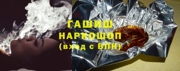 индика Бородино