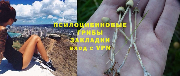 прущая мука Богородск