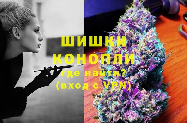 spice Богородицк