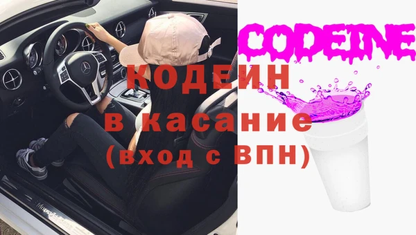 индика Бородино
