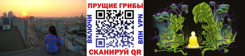 Псилоцибиновые грибы мицелий  где продают   Уссурийск 